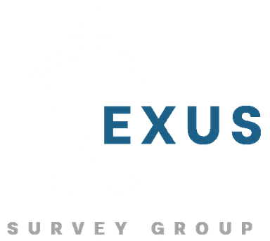 Nexus Survey Group